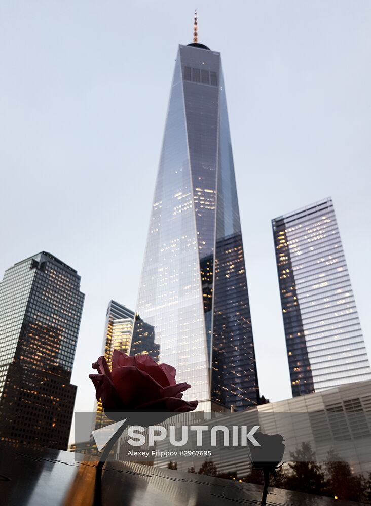 Cities of the world. New York