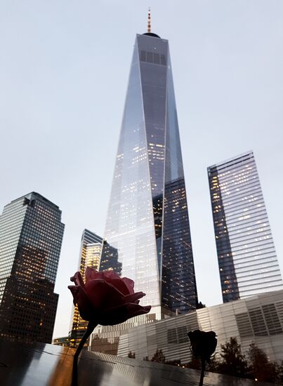 Cities of the world. New York