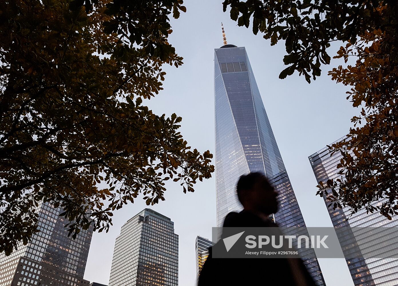 Cities of the world. New York