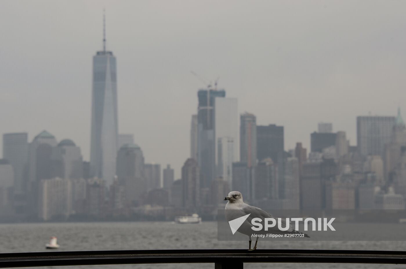 Cities of the world. New York