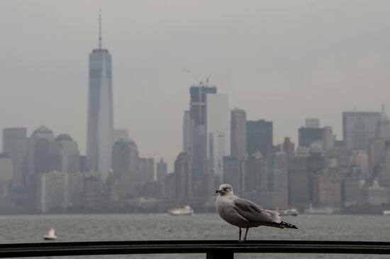 Cities of the world. New York