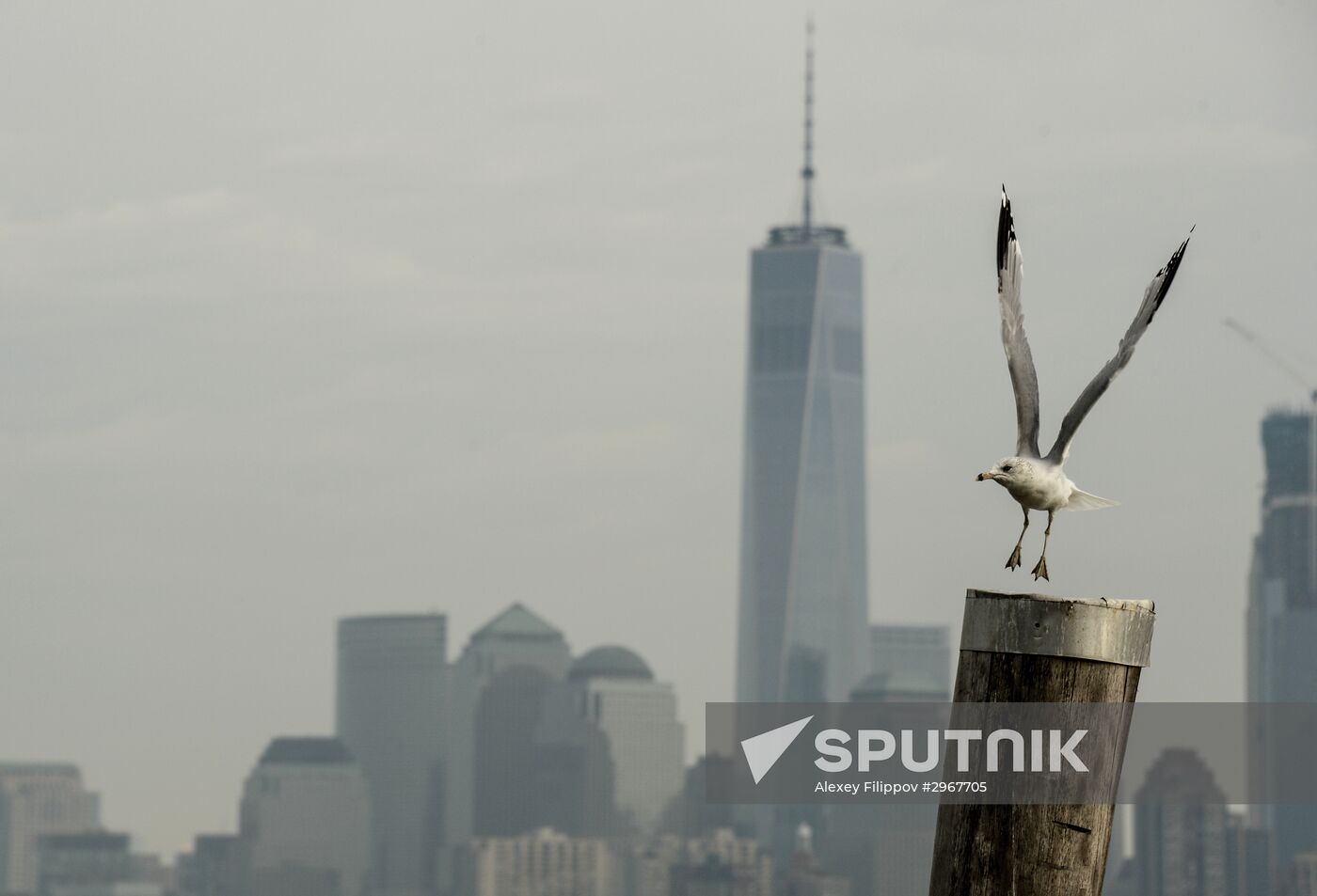 Cities of the world. New York