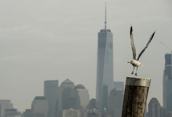 Cities of the world. New York