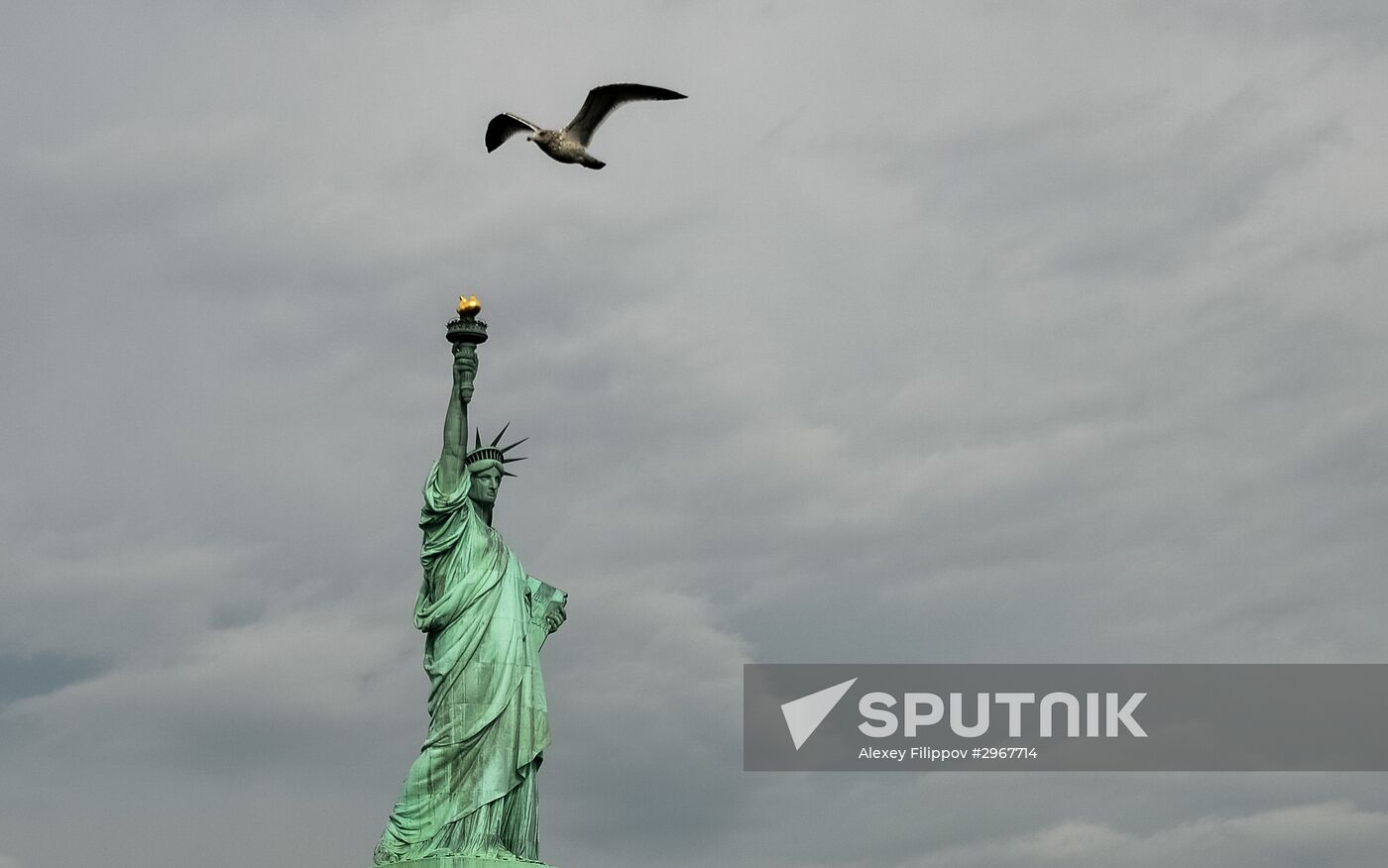 Cities of the world. New York