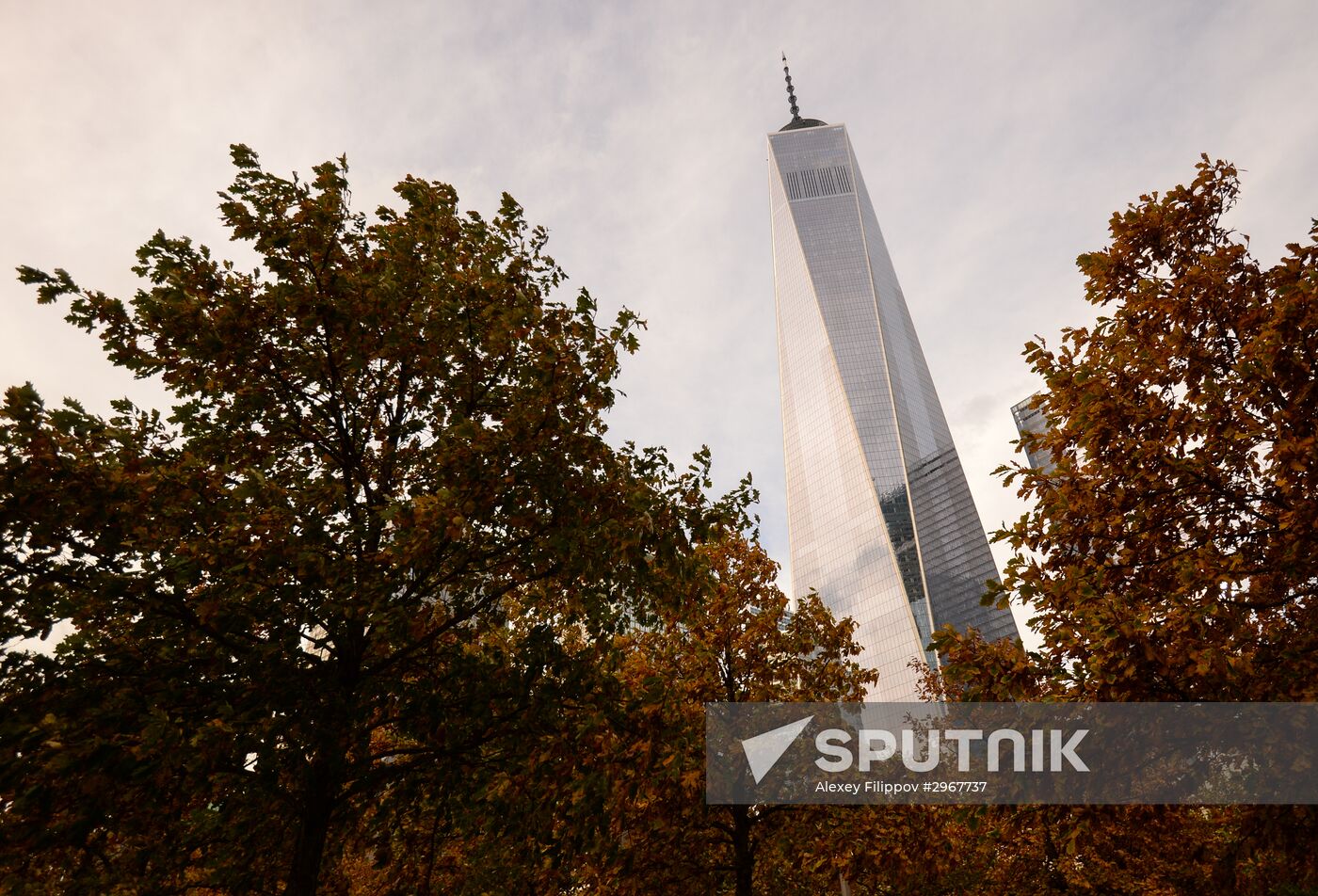 Cities of the world. New York