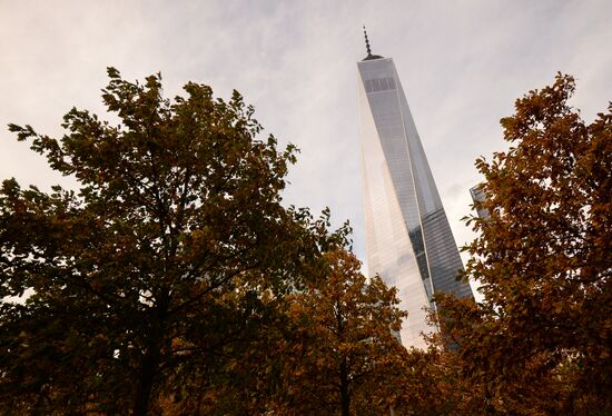 Cities of the world. New York