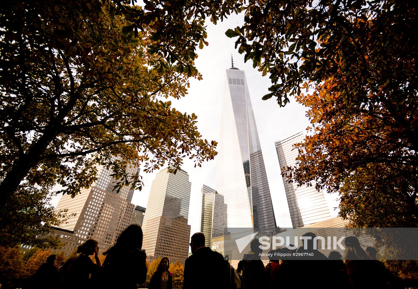 Cities of the world. New York