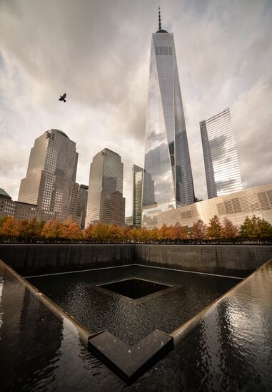 Cities of the world. New York
