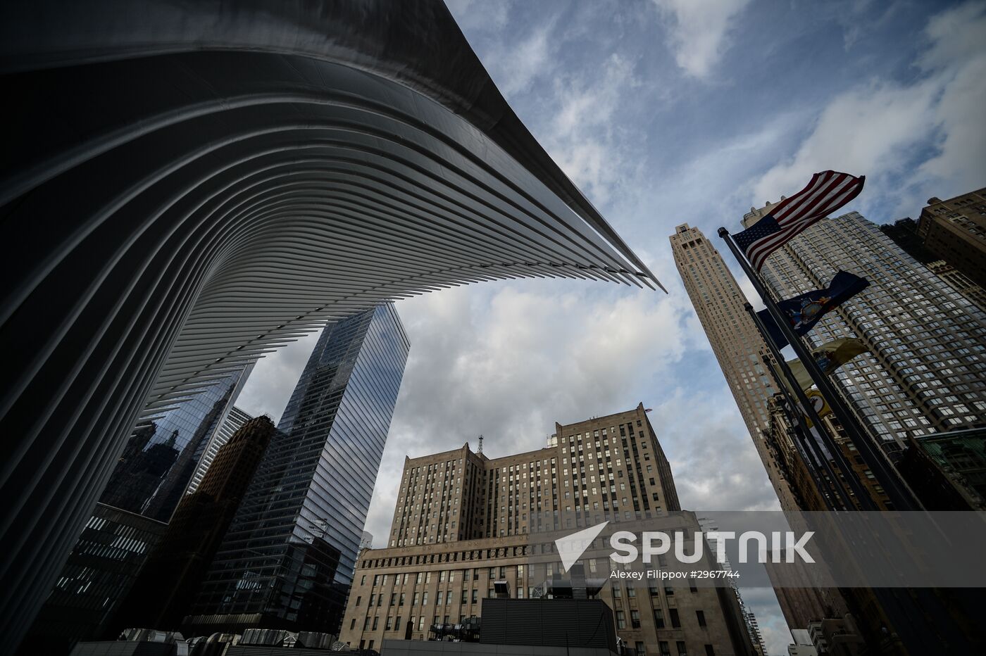 Cities of the world. New York