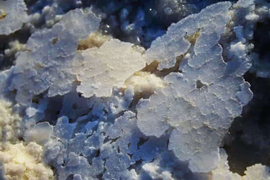 Dead Sea