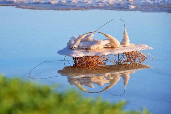 Dead Sea