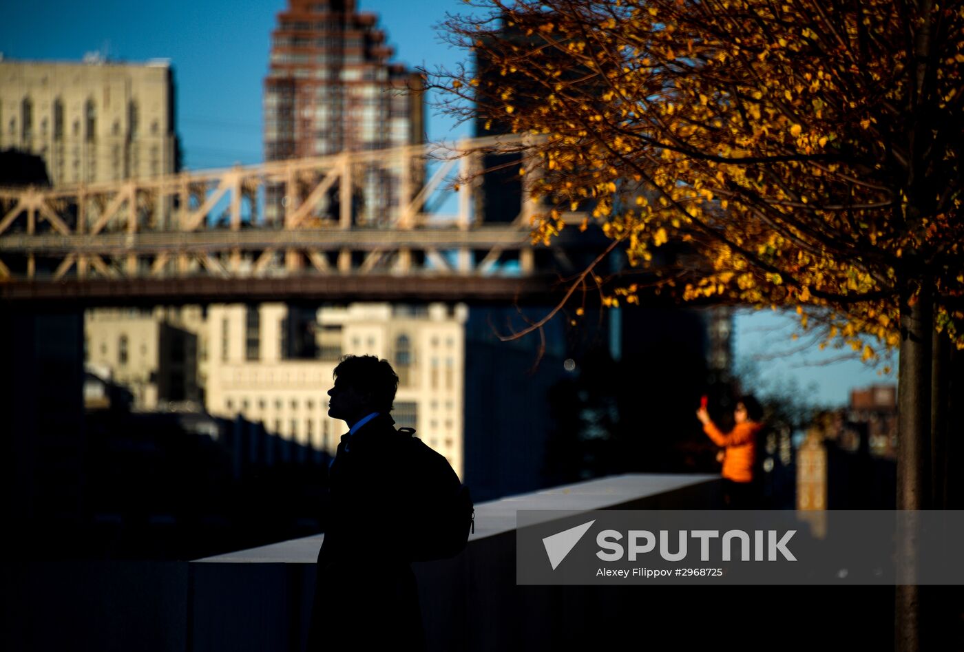 Cities of the world. New York