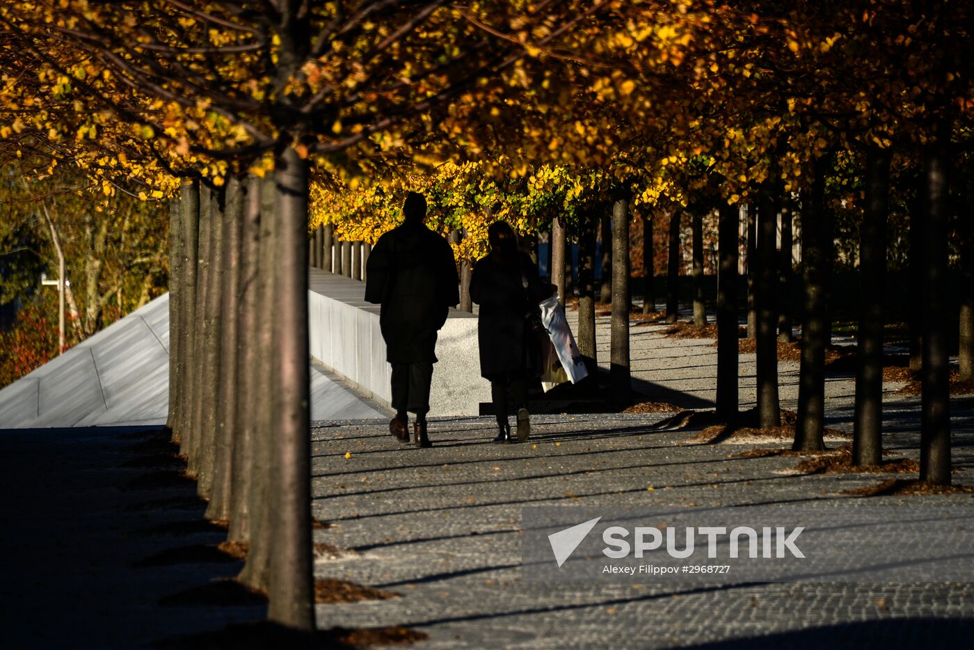 Cities of the world. New York