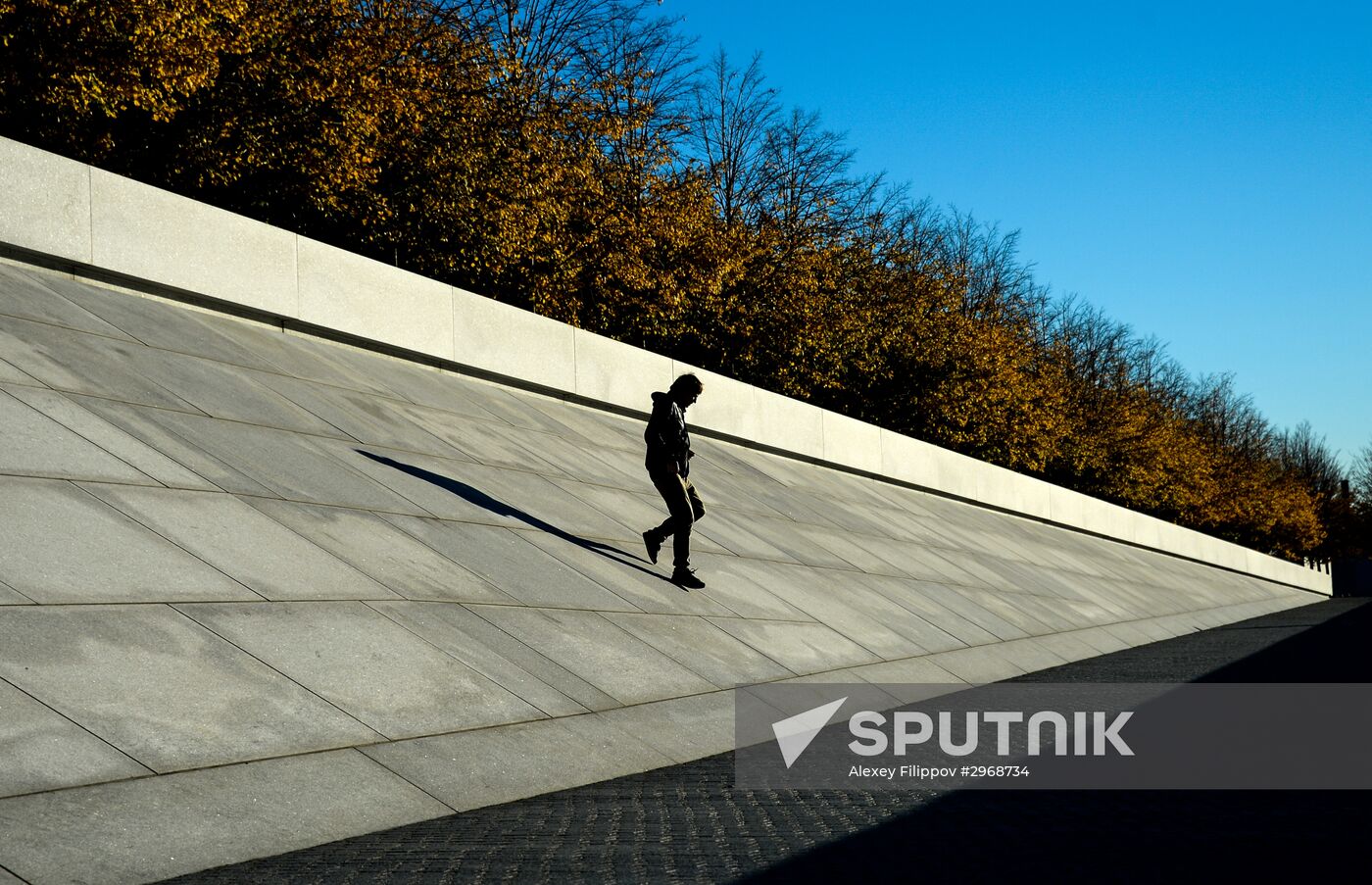 Cities of the world. New York