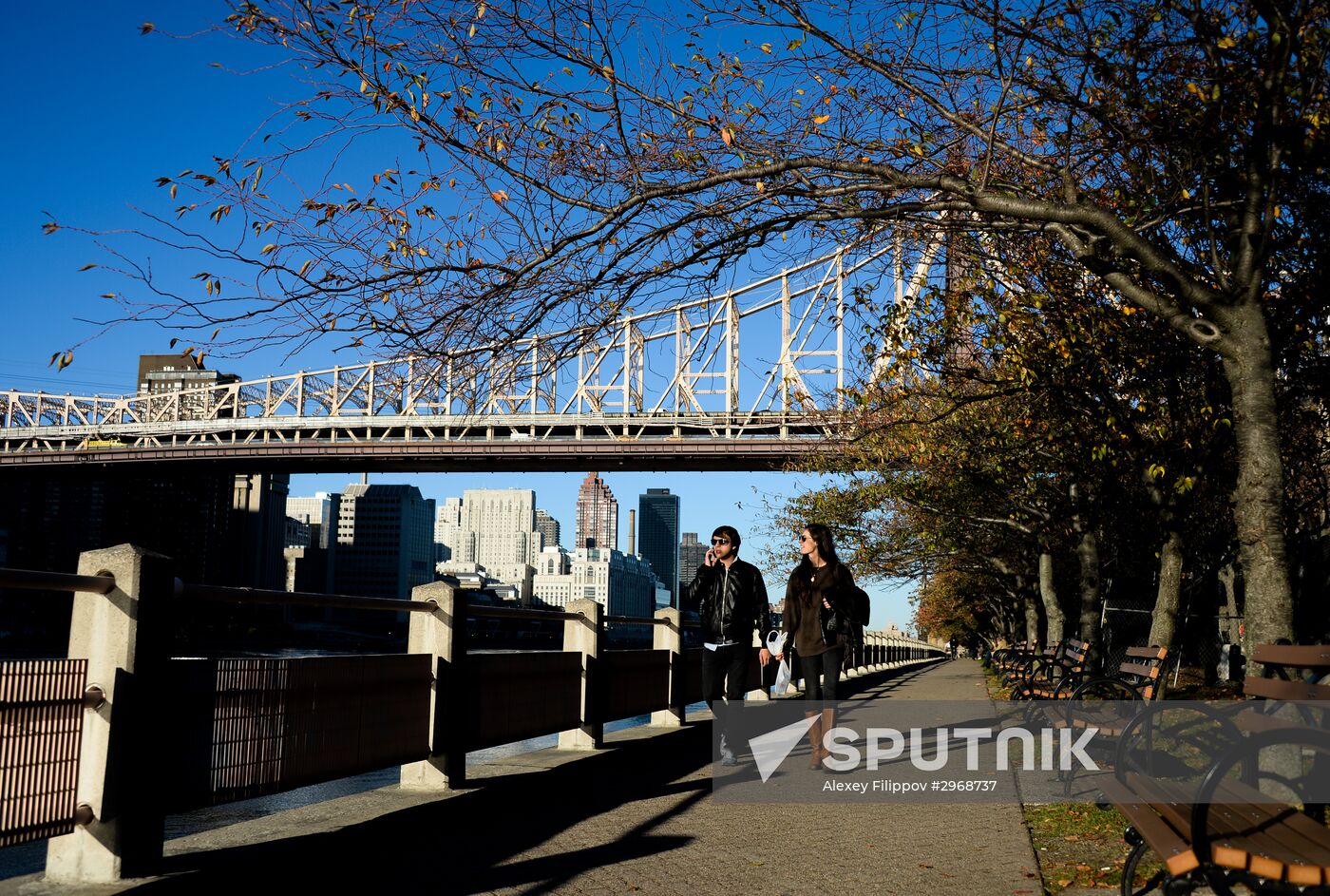 Cities of the world. New York