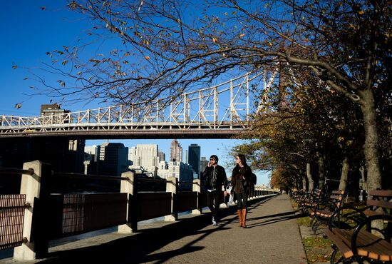 Cities of the world. New York