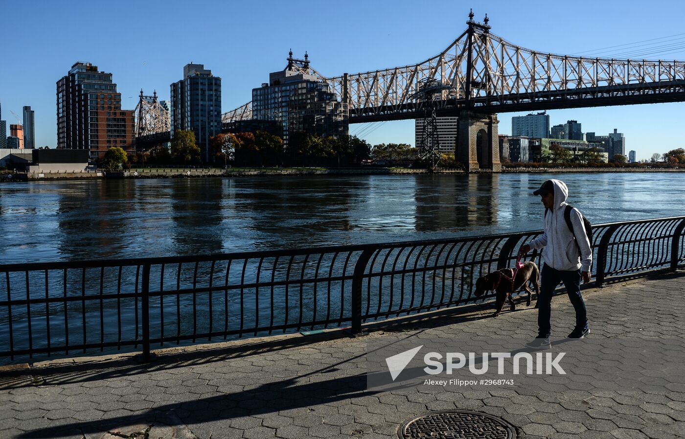 Cities of the world. New York