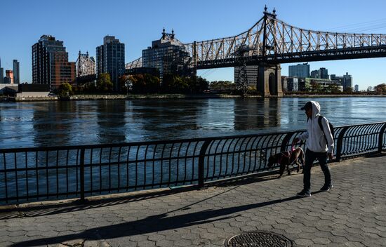 Cities of the world. New York