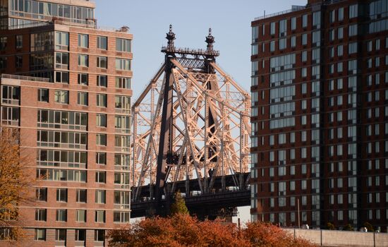 Cities of the world. New York