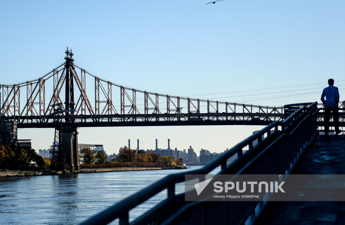 Cities of the world. New York