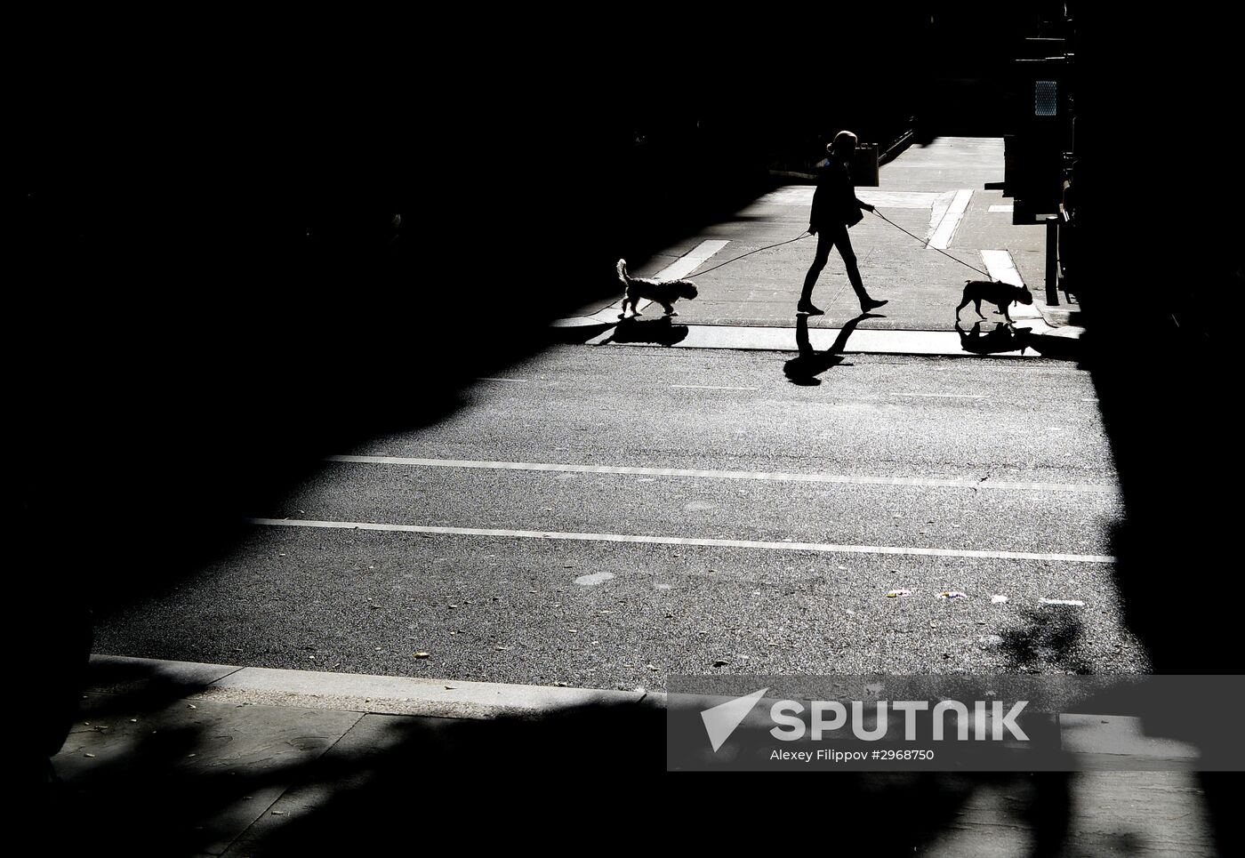 Cities of the world. New York