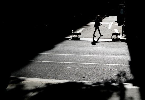 Cities of the world. New York