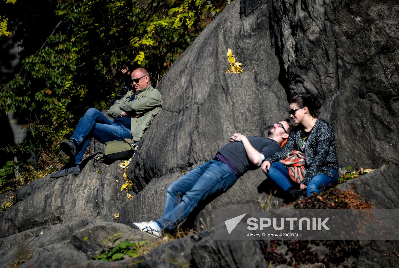 Cities of the world. New York