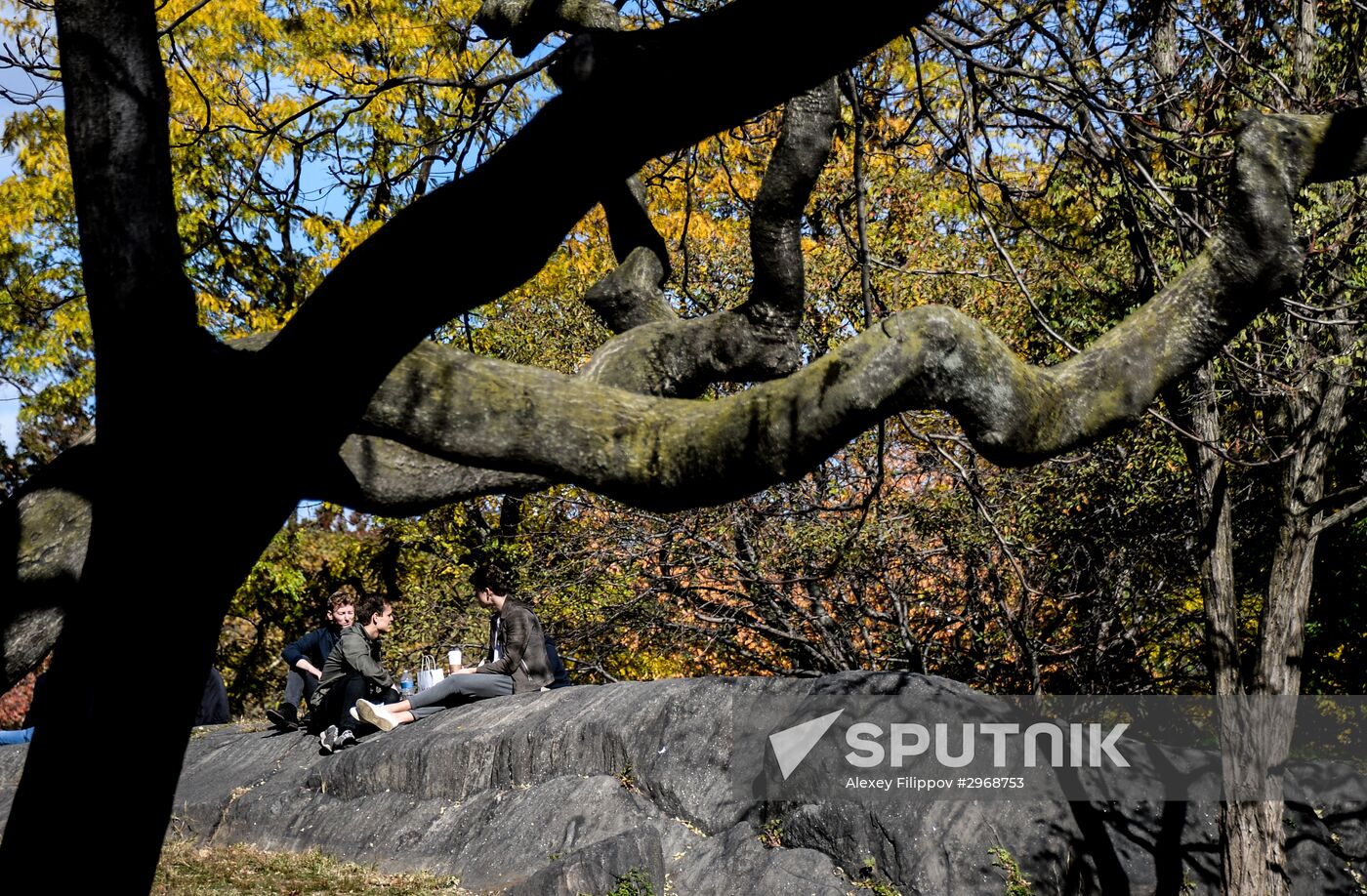 Cities of the world. New York