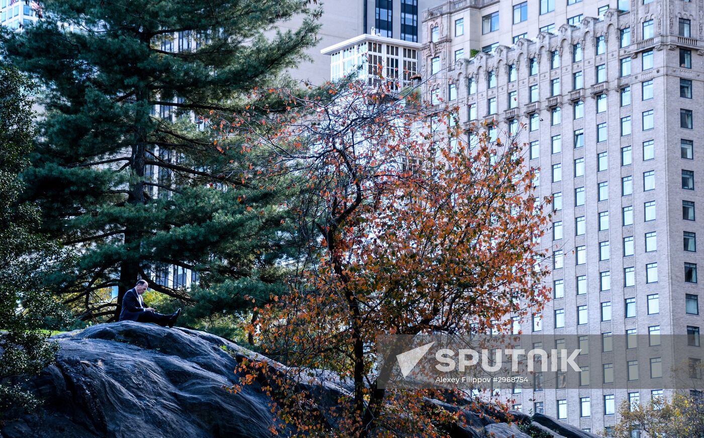 Cities of the world. New York