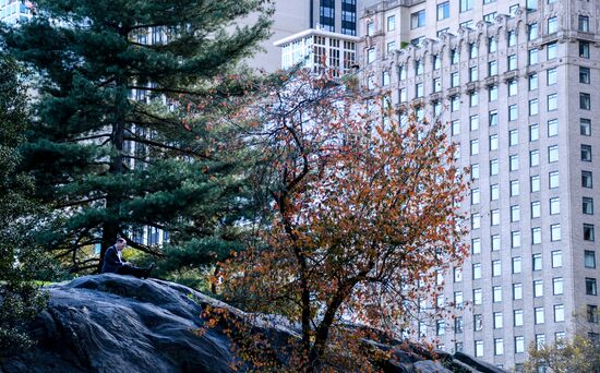 Cities of the world. New York