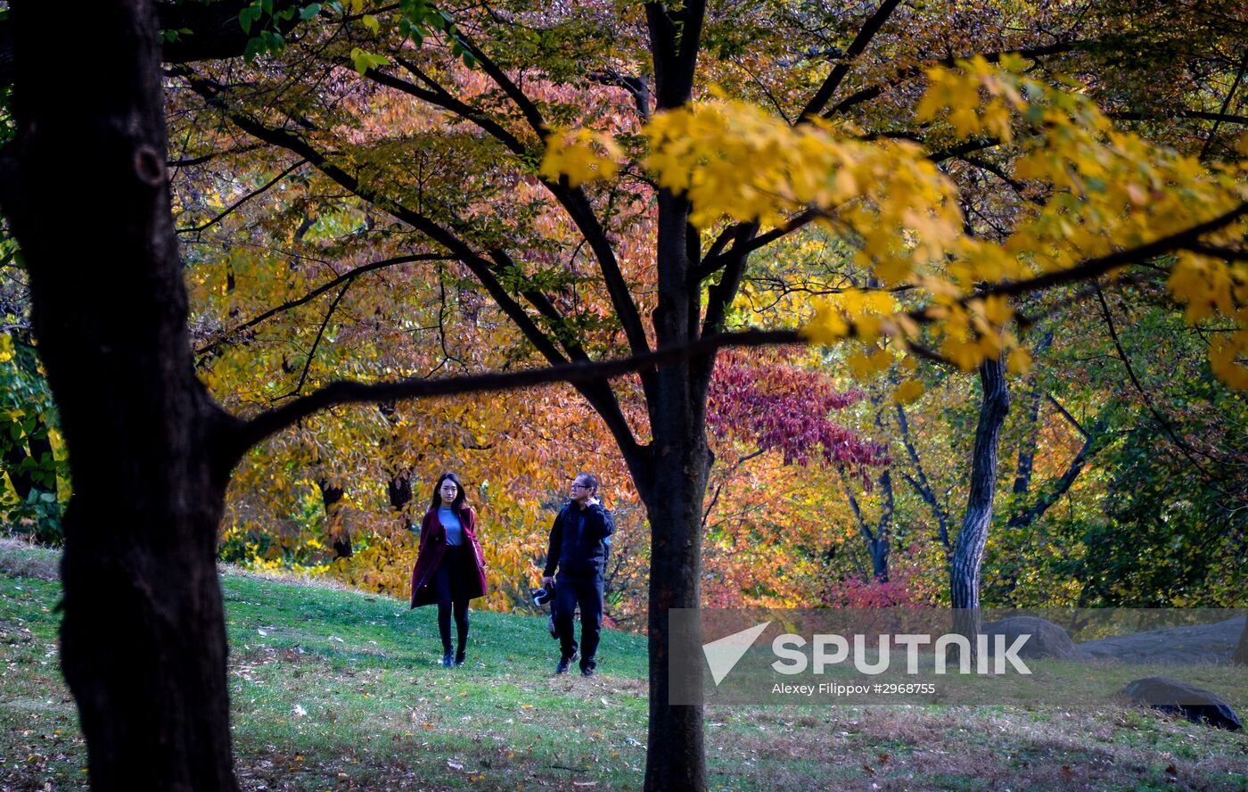 Cities of the world. New York