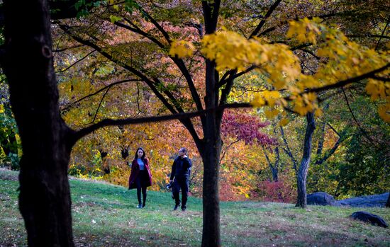 Cities of the world. New York