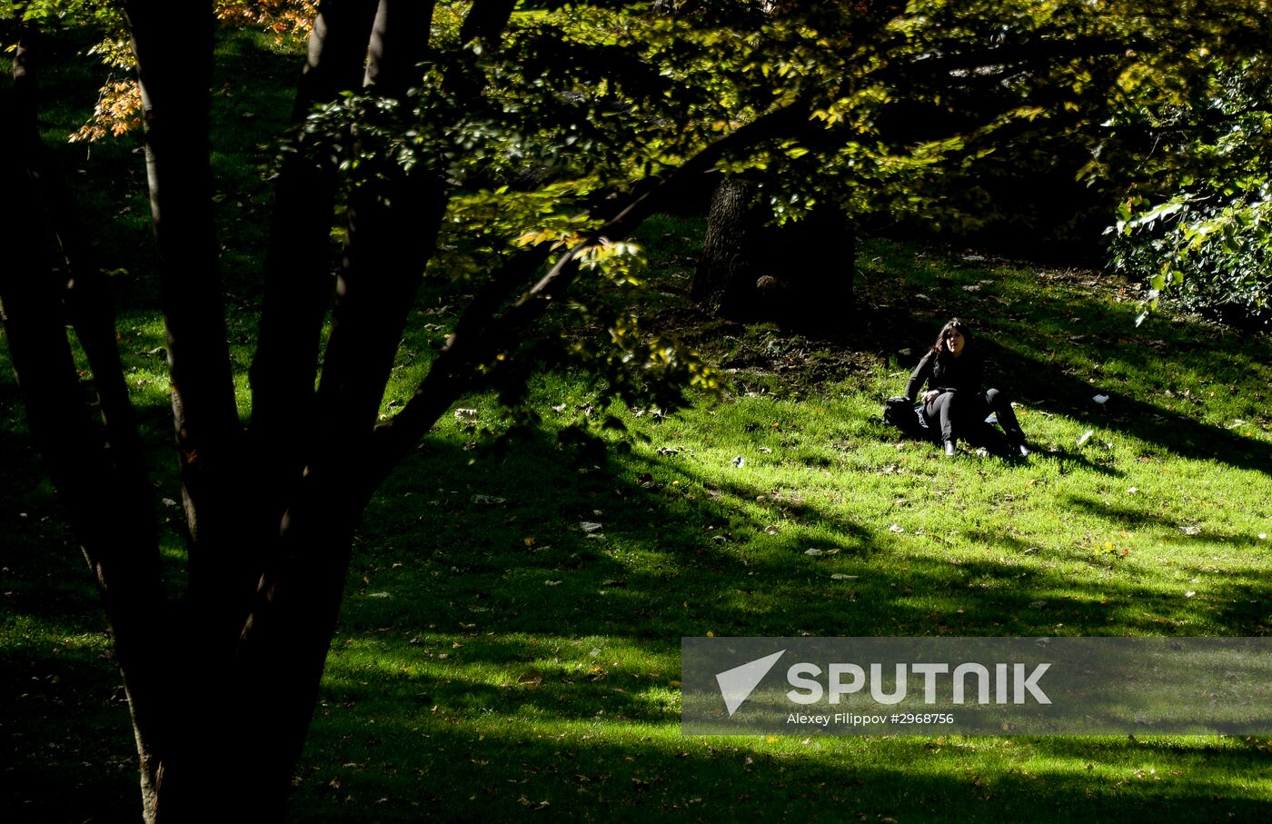 Cities of the world. New York