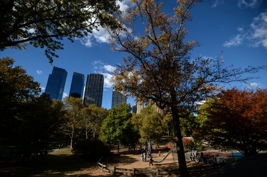 Cities of the world. New York