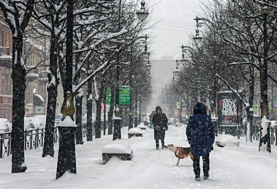 Snowfall in St. Petersburg