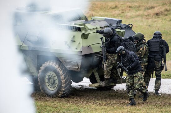 Drill of Russian, Belarusian and Serbian airborne forces "Slavic Fraternity-2016"