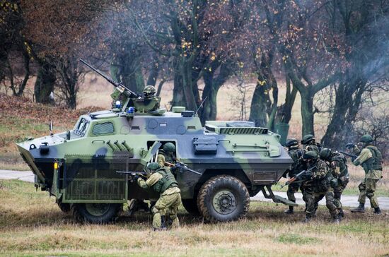 Drill of Russian, Belarusian and Serbian airborne forces "Slavic Fraternity-2016"