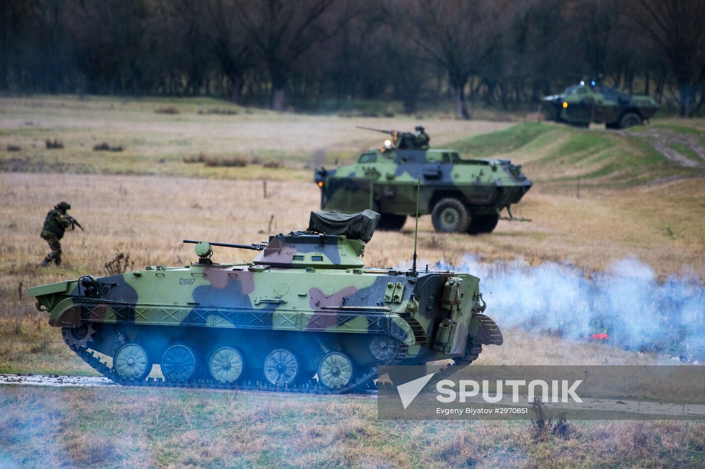Drill of Russian, Belarusian and Serbian airborne forces "Slavic Fraternity-2016"