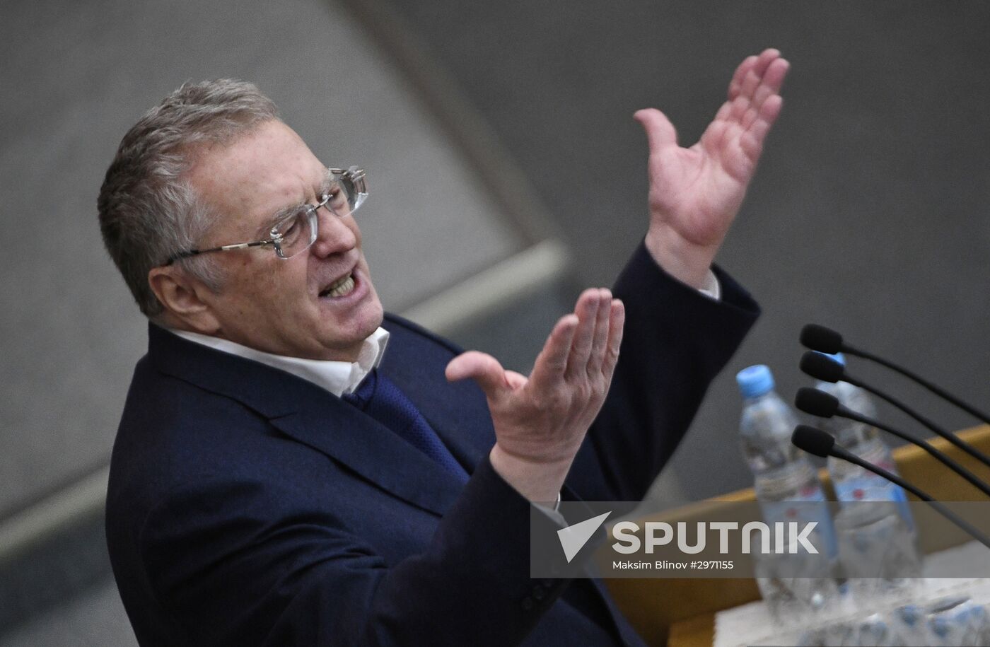 State Duma plenary meeting