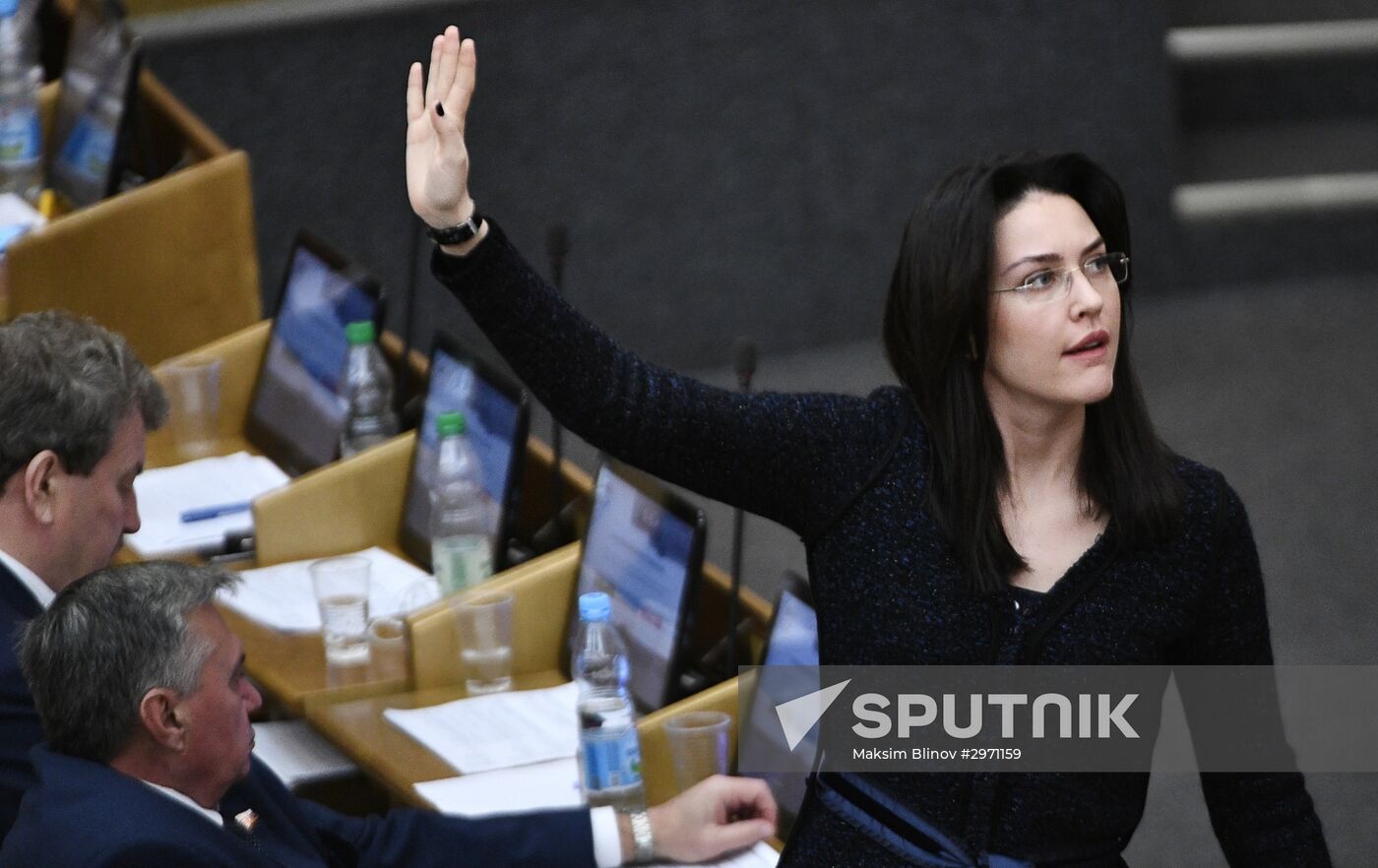 State Duma plenary meeting