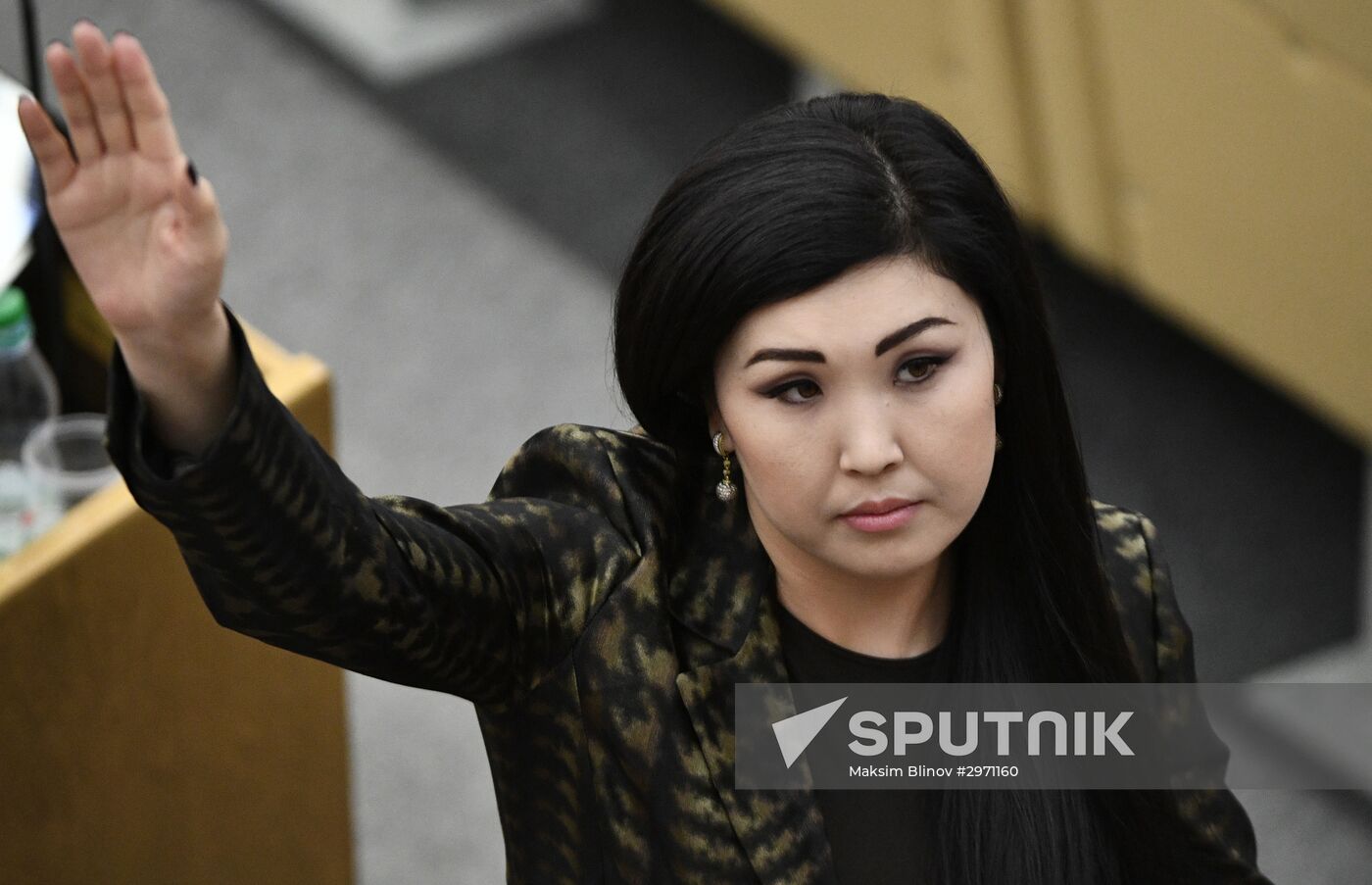 State Duma plenary meeting