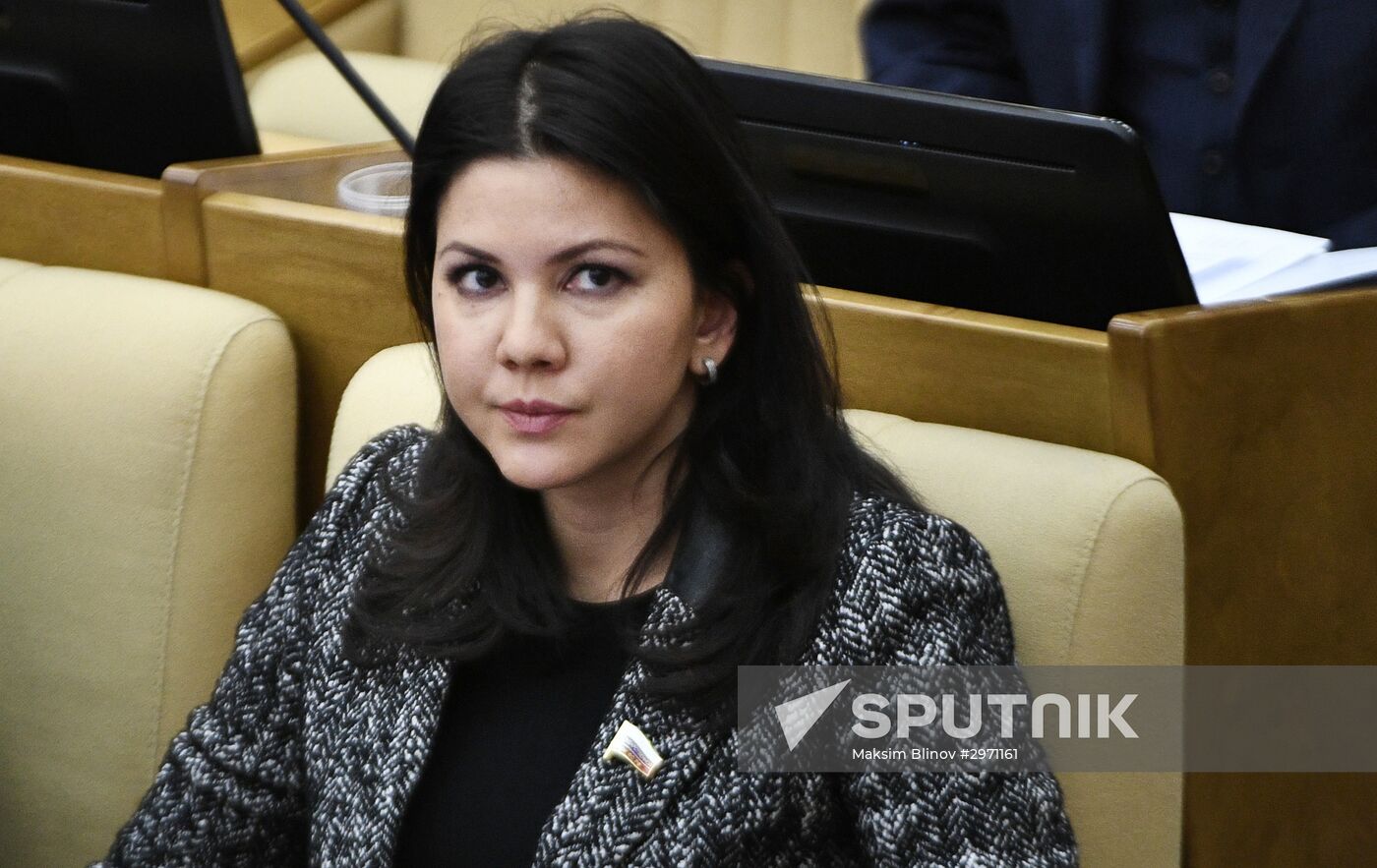 State Duma plenary meeting