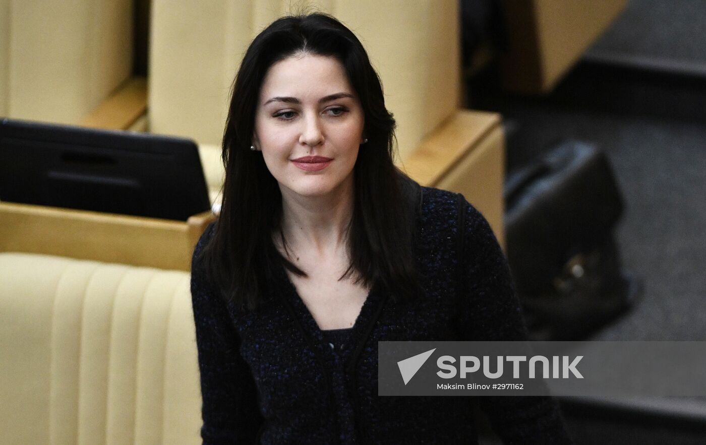 State Duma plenary meeting