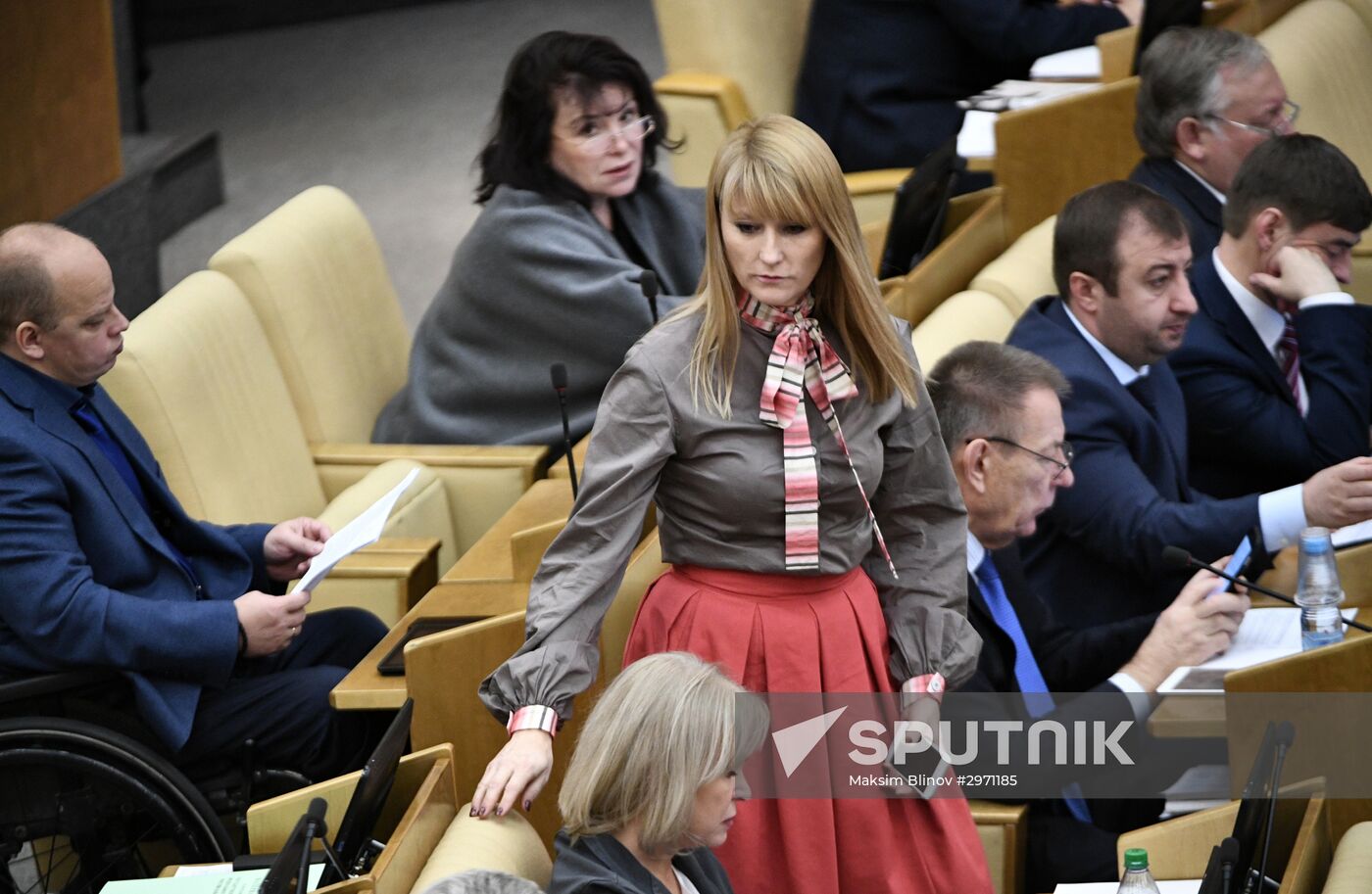 State Duma plenary meeting