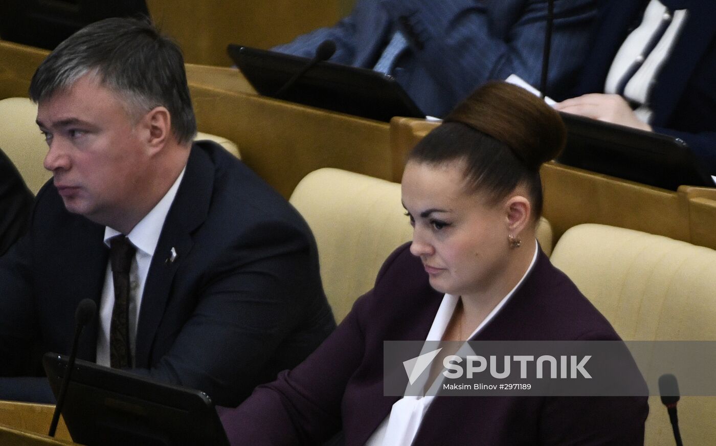 State Duma plenary meeting