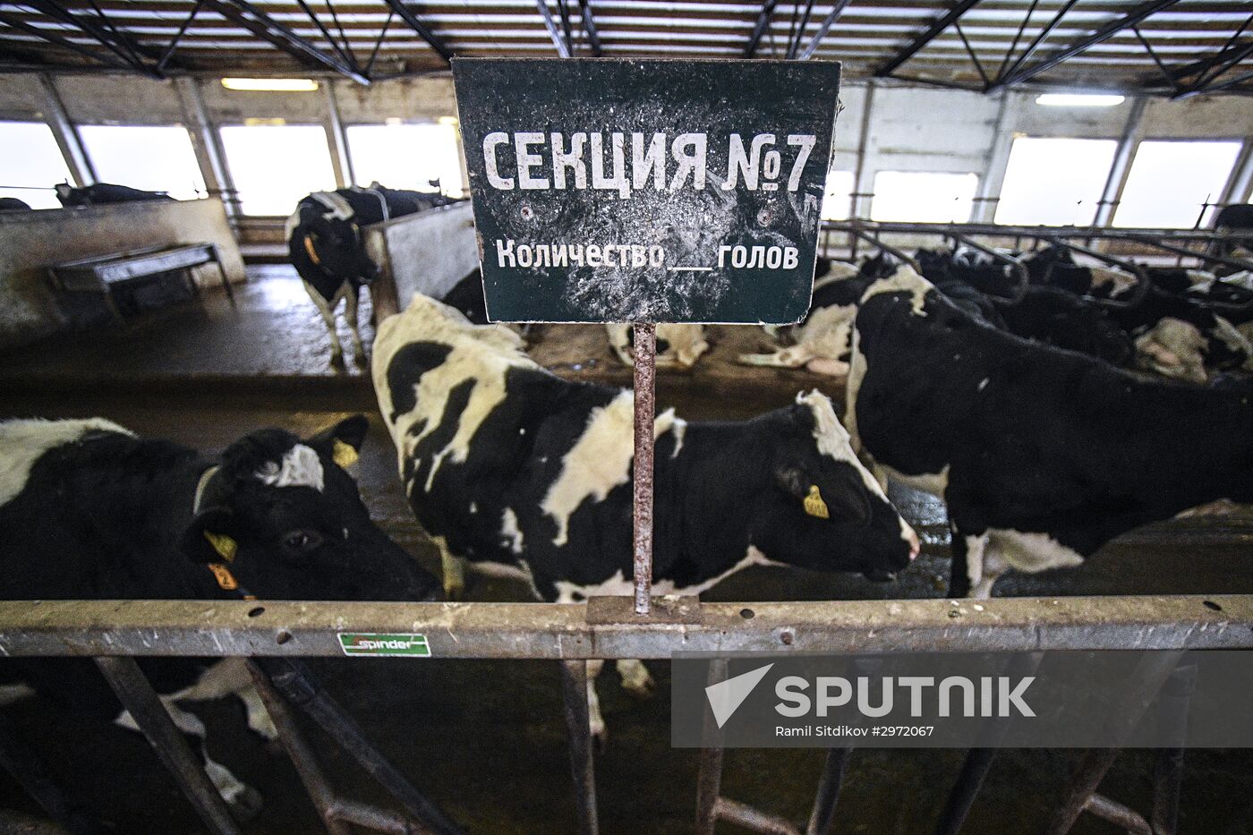 Farm in Moscow Region