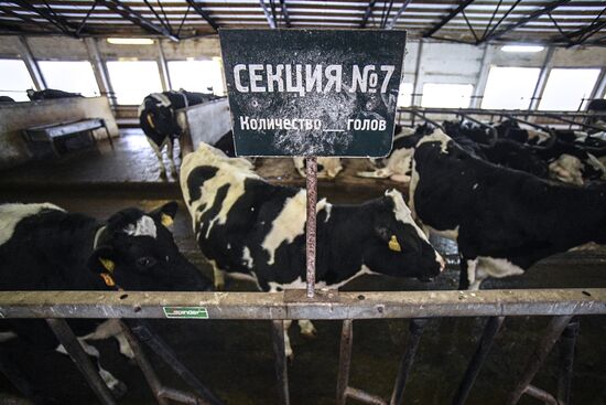 Farm in Moscow Region