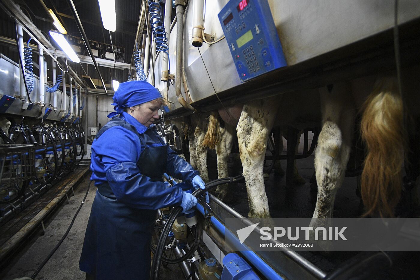 Farm in Moscow Region