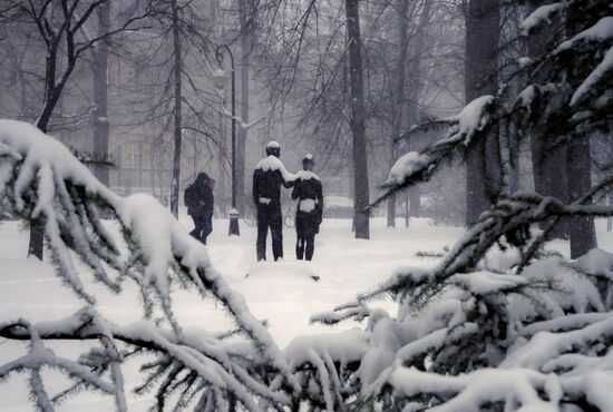 Snowfall in St. Petersburg