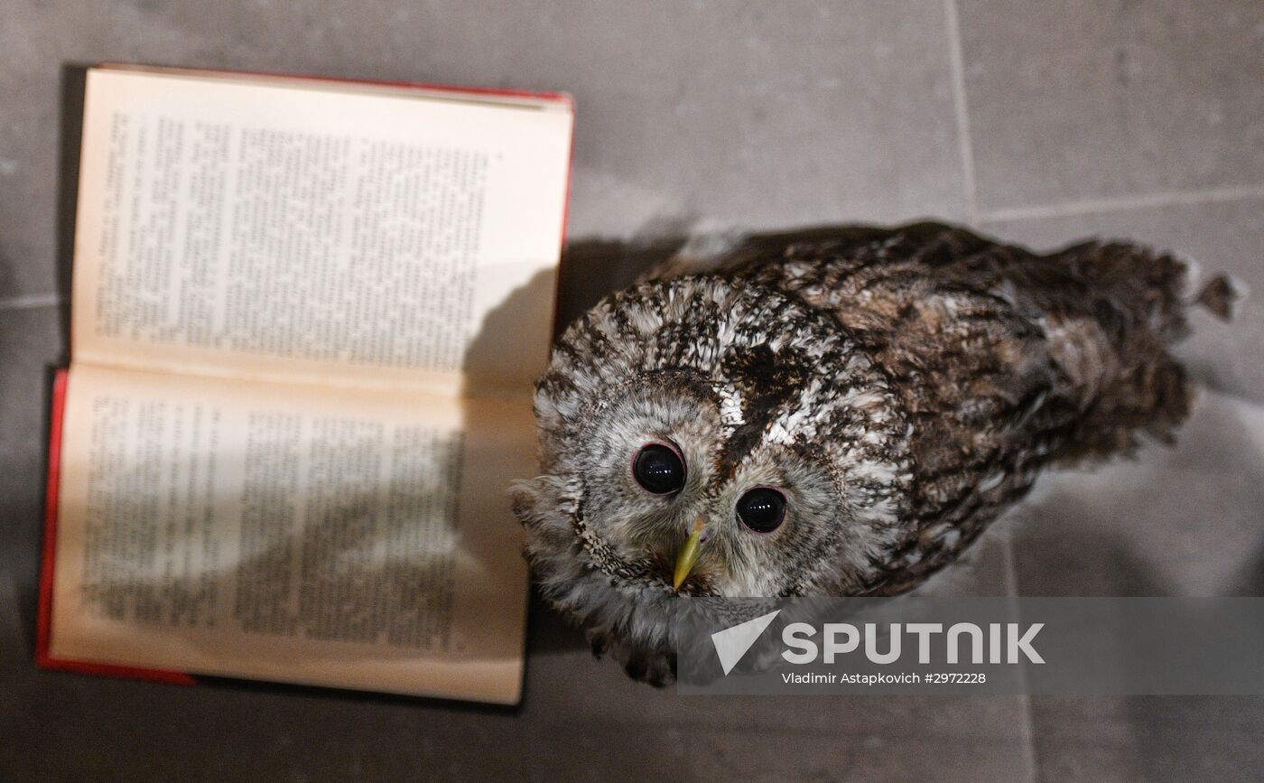 Yeva the Owl at Dom Knigi bookstore in Arbat